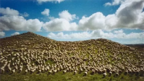 Strong response to $300m rural bb plan