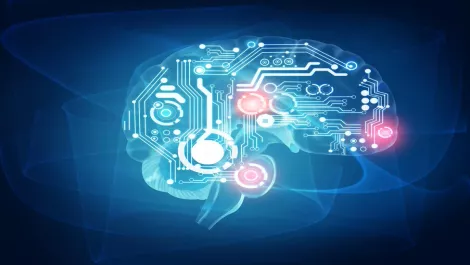 Thinkstockphotos 467787684