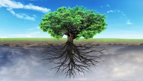 Thinkstockphotos 537249106