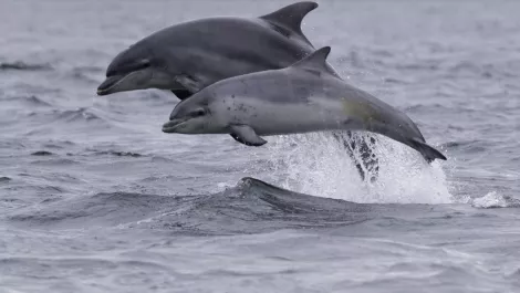 Gettyimages 898624734