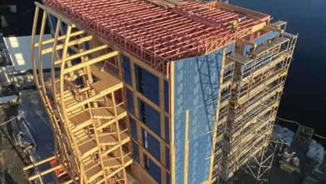 Timber Design Centre launched