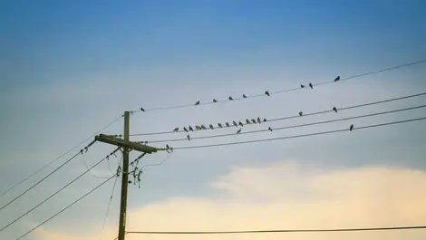 Commerce Commission urged to promote energy efficiency