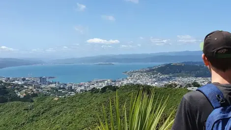 A deep dive into RMA reform