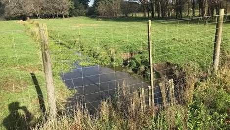 Featherston water race bylaw lapse leaks through policy cracks